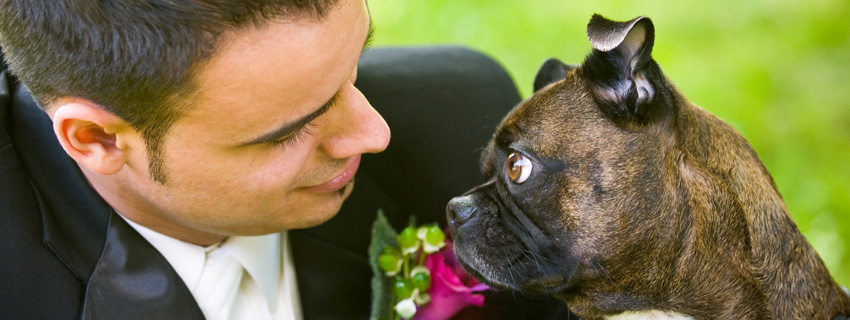 groom with dog